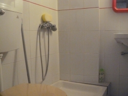 badkamer : douche, wastafel en w.c.
